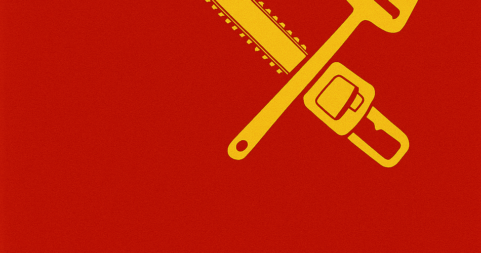 Kettingzaag of kaasschaaf? Kan Nederland leren van Milei?